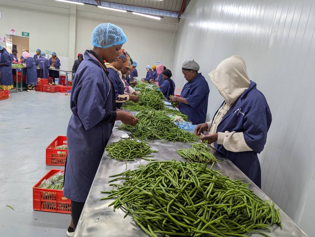 IMG 20250709 WA0007 2