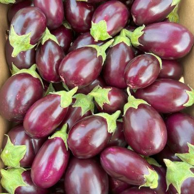Eggplant 1 1